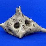 6a Unterwasserwesen von Elisa (SJ 2025_26)