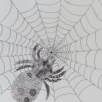 6b Spinne Spinnt I (SJ 2024_25)