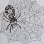 6b Spinne spinnt II (SJ 2024_25)