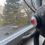 10b Maske von Isaac (SJ 2025_26)