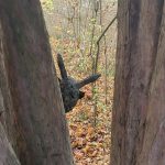 10b Maske von Carla (2025_26)