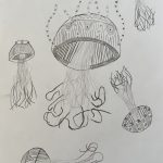 6a Quallenfamilie, Bleistiftzeichnung von Frederick (SJ 2025_26)