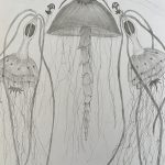 6a Quallenfamilie, Bleistiftzeichnung von Marlene (SJ 2025_26)