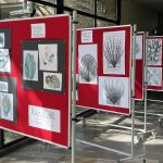 Ausstellung der KUNST-AG 2025-26