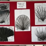Zeichnen mit Pittkreide, Muscheln