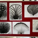 Zeichnen mit Pittkreide, Muscheln