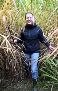 Abbildung 5: Probenahme durch Lina Vohl im Miscanthus-Feld, Versuchsbetrieb Ihinger, Universität Hohenheim (Foto: Kirchner-Heßler)
